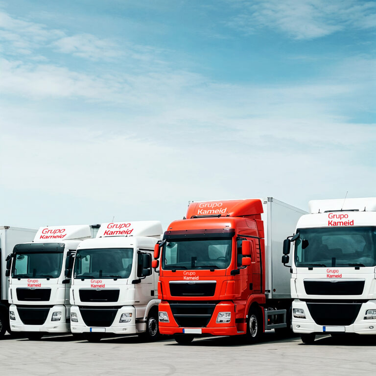 2-CAMION-GRUPO KAMEID-22-10-2025